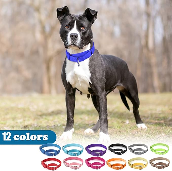 Cunno 12 Pcs Martingale Collar for Medium Dogs Reflective Dog Collar with Durable Metal Buckle Adjustable Nylon Pet Prevent Slipping Out for Pupplies, 12 Colors(Large)