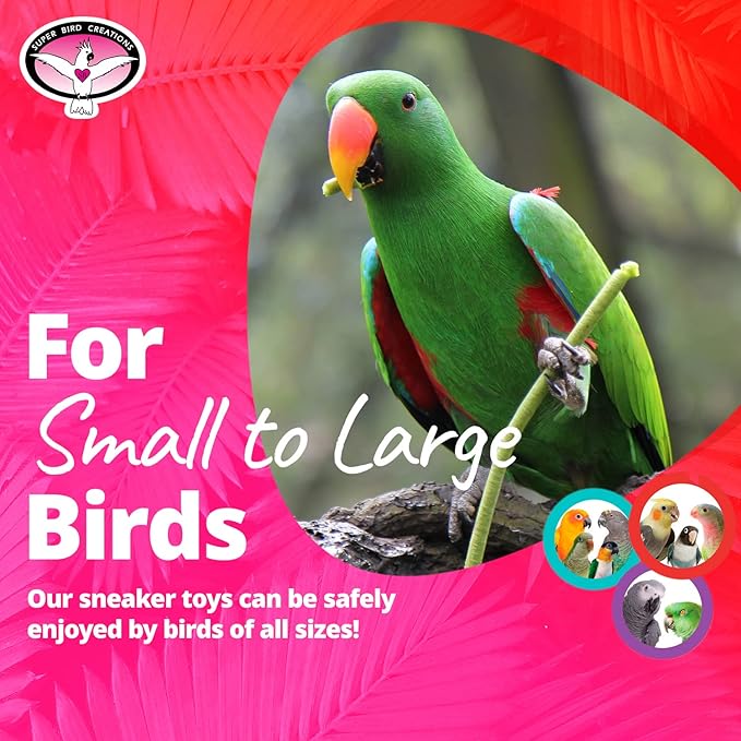 Super Bird Creations SB50009 Sneaker Bird Toy - Durable Safe Chew Toy - Ideal for Cockatiels Parakeets Parrots Small to Large Birds, Encourages Foot Dexterity - Vibrant Colors 3"x1-1/2x1-3/8" (6 Pack)