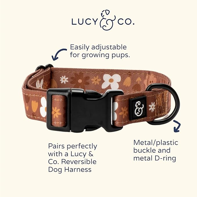 Lucy & Co. Chocolate Meadows Dog Collar - Durable Lightweight Designer Collar for Pets - Adjustable Metal Safety Buckle (Medium, Brown & White Floral)