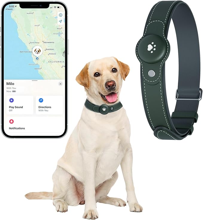 2-in-1 GPS Tracker for Dogs: Smart Collar with Real-Time Location, No Monthly Fee, Unlimited Range (iOS Only) GPS Tracker Dog Collar- Ideal for Small, Medium Large Dogs(Tracker Included)(Green)