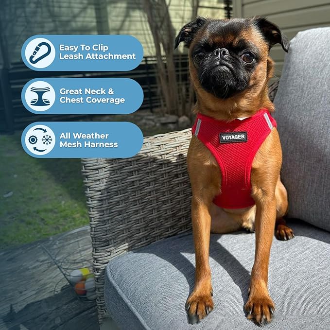 Best Pet Supplies Voyager Step-in Air All Weather Mesh Harness and Reflective Dog 5 ft Leash Combo with Neoprene Handle, for Small, Medium and Large Breed Puppies - Harness Leash Set (Red), XXS