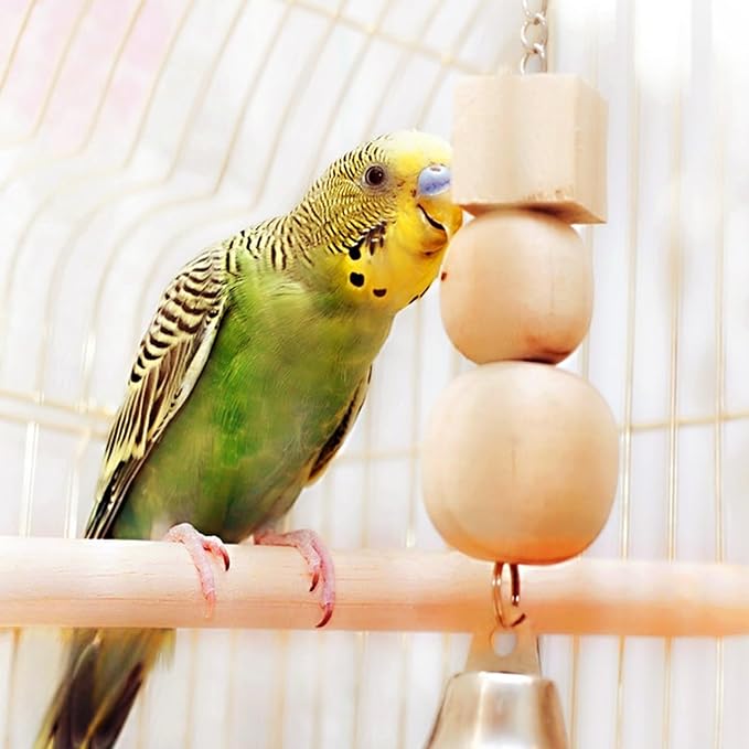 Bird Perch Wooden Parrot Perchs Stand, 4PCS Parrot Perches Toys Wood Perches with Different Widths Bird Cage Toys Cage Accessories for Macaws, Small Parakeets, Conures, Budgies, Finches