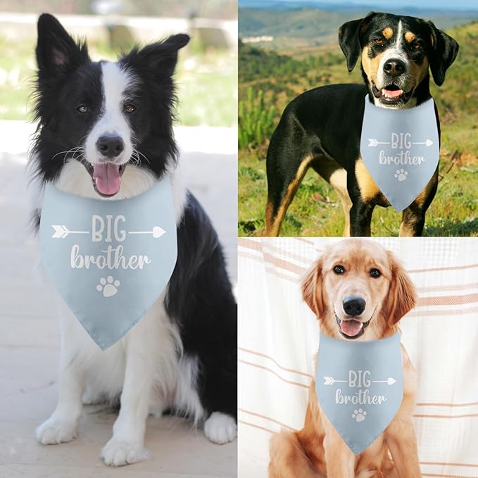 Big Brother Baby Announcement Dog Bandana - Tisubileiry Blue Gender Reveal Prop Scarf Accessory for Dog Lovers