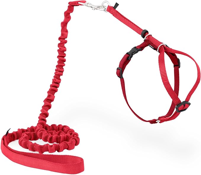 PetSafe Come With Me Kitty Cat Harness & Bungee Leash - Comfortable Cat Harness with Lightweight Bungee Leash for Outdoor Fun - More Secure Walks - Small - Red