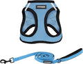 Best Pet Supplies Voyager Step-in Air All Weather Mesh Harness and Reflective Dog 5 ft Leash Combo with Neoprene Handle, for Small, Medium and Large Breed Puppies - Baby Blue/Black Trim, X-Small
