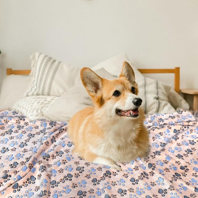 Dog Blankets for Medium Large Dogs, 3 Pack Pet Blanket Washable 41" x 31", Fuzzy Soft Puppy Throw Cover for Kennel Crate Bed