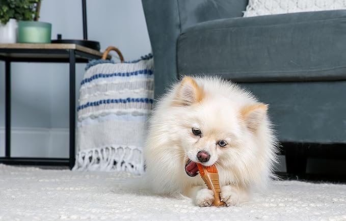 Hartz Chew ‘n Clean Chew Toy and Treat in One Chicken Flavored Drumstick Dog Toy, Small (Pack of 2)