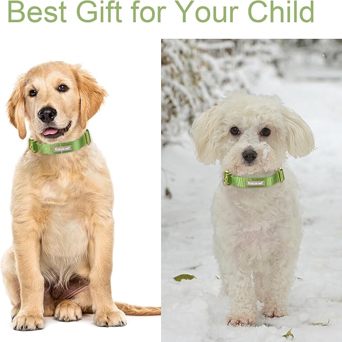 Nylon Dog Collar - Adjustable Green Soft Webbing Dog Collars for Small Medium Large Dogs Boy Girl Puppy Collar with Safety Metal Buckle L