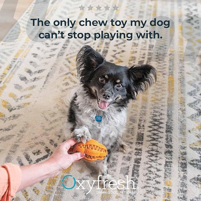 Oxyfresh Dog Dental Chew Toy - Best Dog Teeth Cleaning Toy – A Simple Bite and Brush Toy That Helps Remove Plaque, Cleans Teeth & Freshens Breath Without Brushing - Large (Pack of 2)