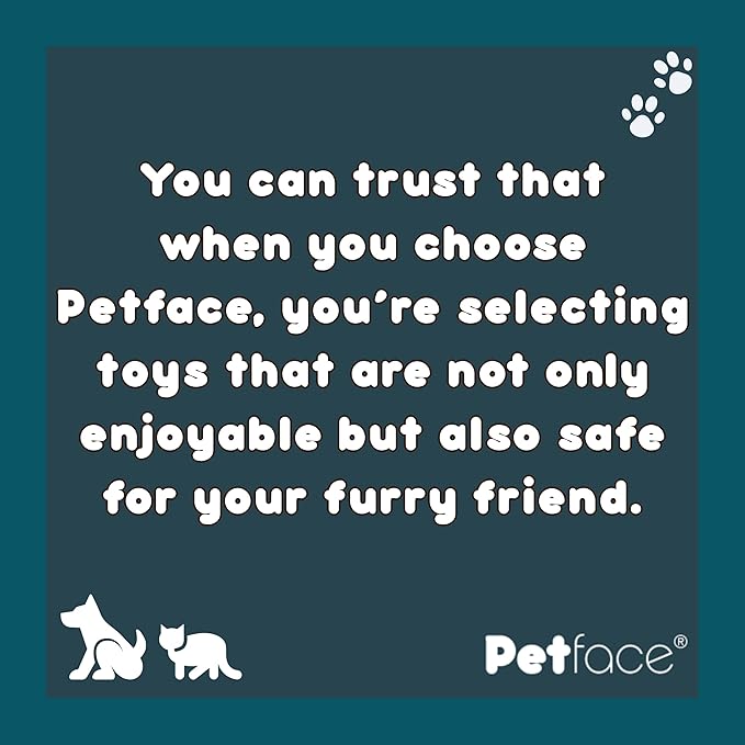 Petface Seriously Strong Rubber Teething Dog Chew, Orange
