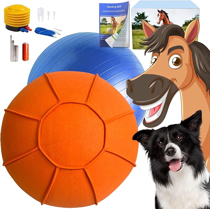 Herding Ball for Dogs, Dual Layered Herding Dog Ball Set for Australian Shepherd, Cattle, Collie, for Dog, Agility Equipment- Free Training Book (Orange, 22 inch)
