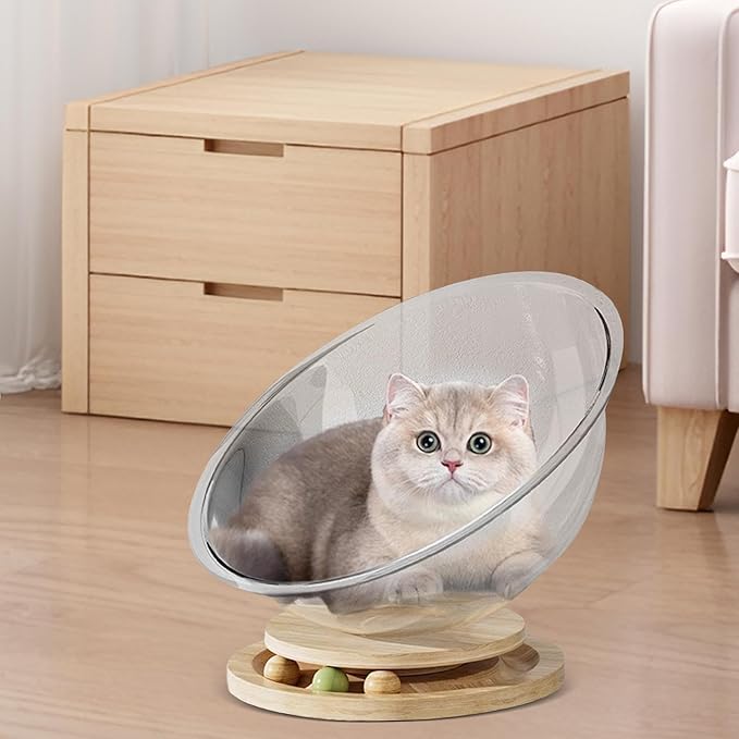 Cat Perch- Cute Freestanding Cat Space Perch Bed, Stylish Stable Activity Center Space Cat Bed | Easy Cleaning Transparent Cat House Set, Perfect Cat Furniture Pet Supplies for Kittens Sleeping