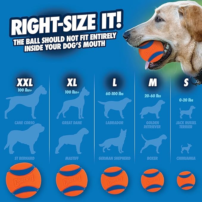 Chuckit! Ultra Ball Dog Toy - Medium Bouncy Fetch Balls for Dogs 20-60 lbs - Made from Durable Rubber - Floating Water Pet Toys - Size Medium - 2.5-inch Diameter -,2 Count (Pack of 4)