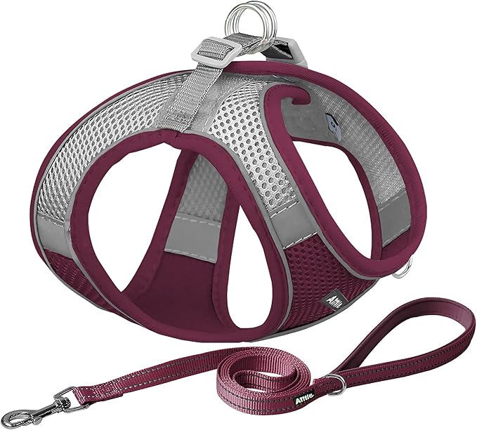 AIITLE Easy Walk Dog Harness and Leash Set - Christmas Pet Supply No Pull, Step in Adjustable Dog Harness with Padded Vest, No Choke Over, Easy to Put on Medium Dogs Burgundy L