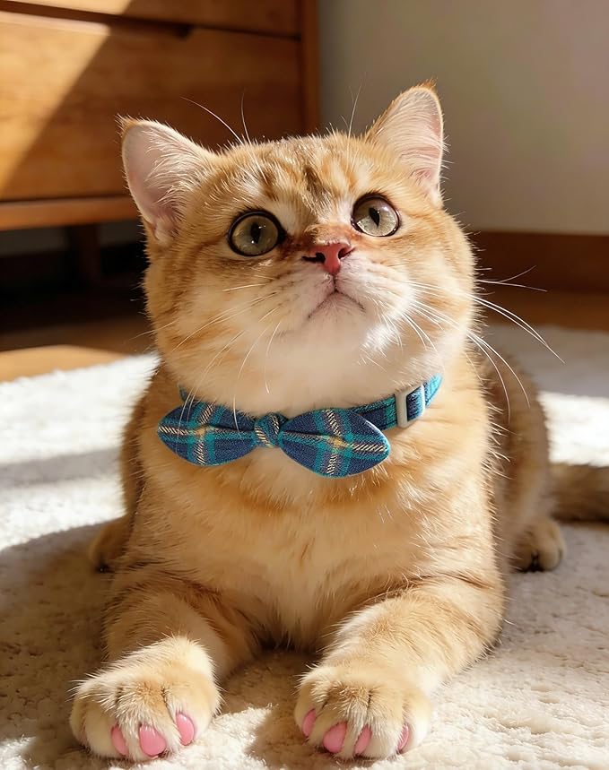 Cotton Bowtie Cat Collar with Bell 2 Pack Plaid Breakaway Kitten Collars with Removeable Bunny Ear Bow(Mocca Tweed+Ocean Blue)