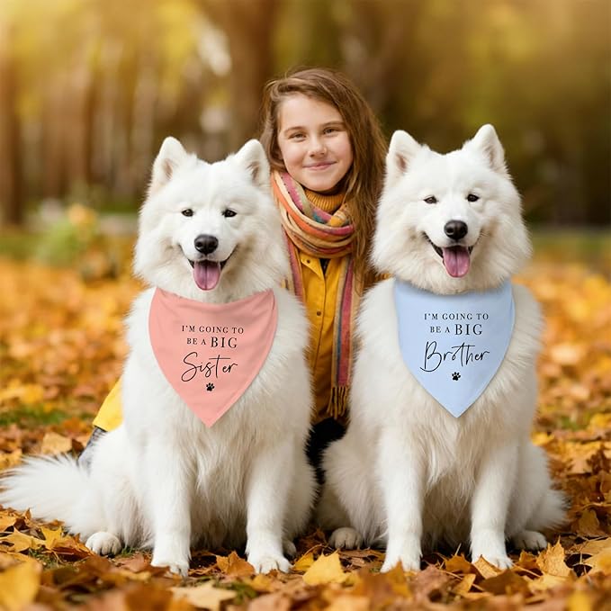 2 Pack Dog Bandanas for Pregnancy Announcement, I'm Going to Be A Big Brother Sister Cute Adjustable Pet Bandana Scarf for Small Medium Large Dogs, Gender Reveal Dogs Accessories (Blue&Pink)