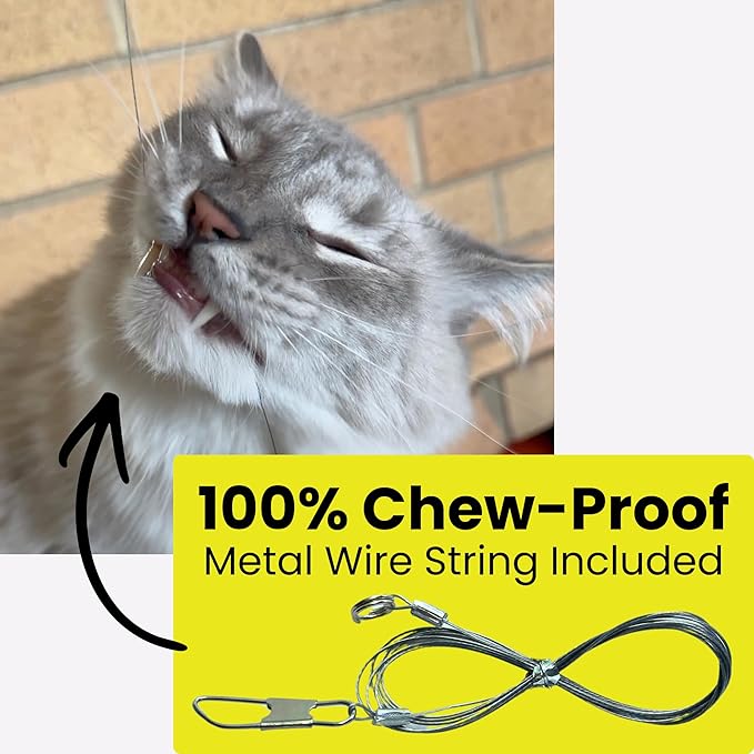 Forever Stick with Chew-Proof Metal Wire String and Transparent Fishing Line String - The Unbreakable Cat Wand Toy, Extra Long Durable Cat String Toy for Indoor Cats, Cat Fishing Pole Toy