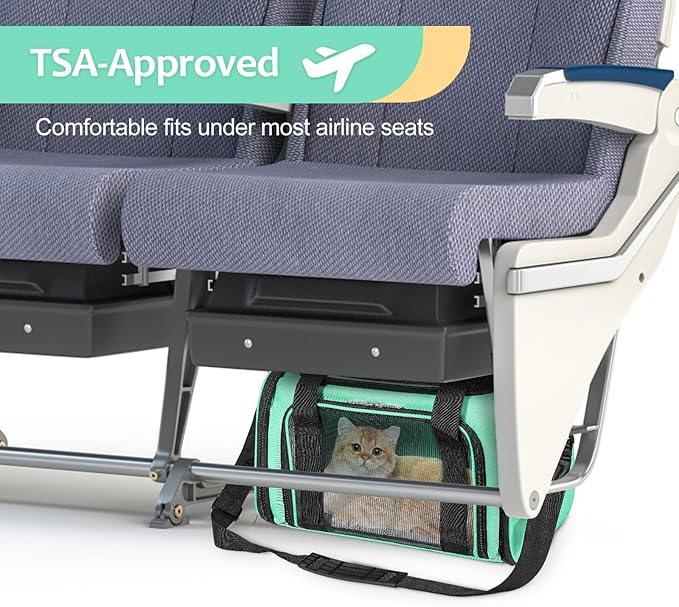 Discala Cat Dog Carrier Up to 15 Lbs TSA Airline Approved Pet Carrier for Small Medium Cats Puppies Dog Carriers for Small Dogs Collapsible Soft Sided Cat Travel Carrier - Green 15.7"x10.2"x10.2"