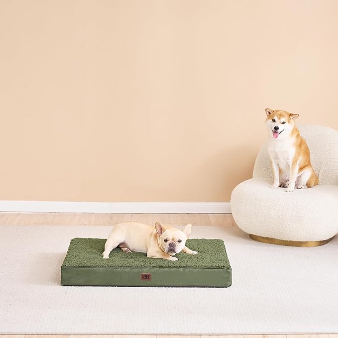 EHEYCIGA Orthopedic Foam Dog Bed, Medium, 30"L x 20"W x 3.5"Th, Dark Green