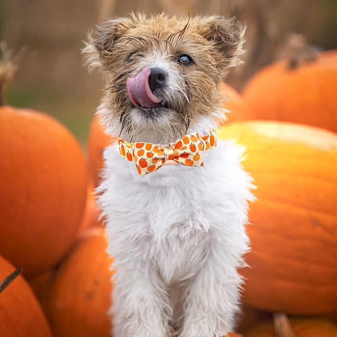 Dog Collars - Halloween Pumpkin Bowtie Dog Collar Gift Soft Bow Collar Pet Adjustable Metal Buckle Pet Collar for X-Small Dogs