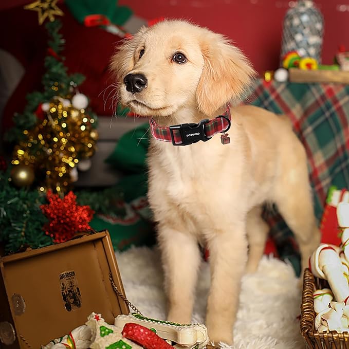 DOGWONG Christmas Plaid Dog Collar, Cute Adjustable Red Collar for Boy and Girl Dogs, Dog Collar with Strong Plastic Buckle for Small Medium Large Dogs,XS