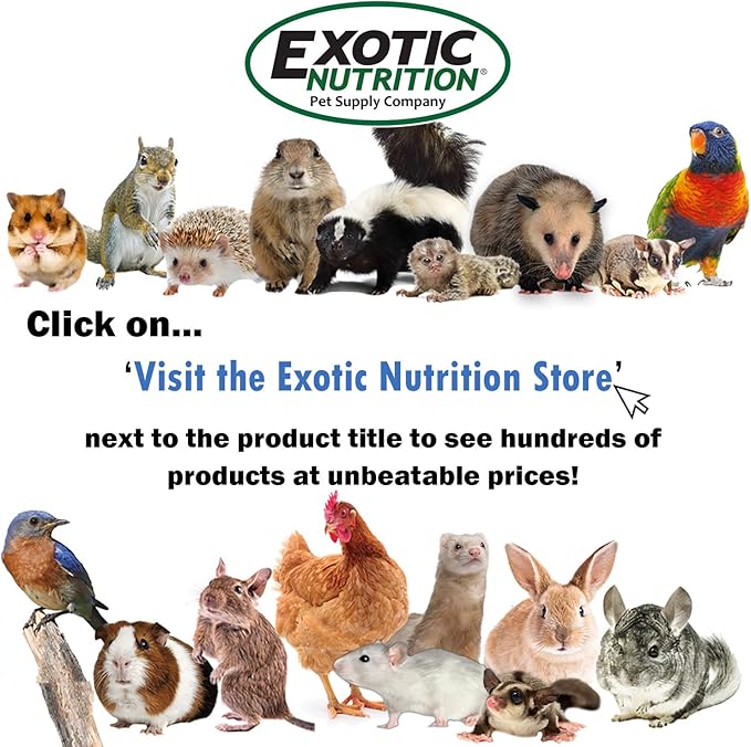 Nectar Pods Holder - Durable Cage Accessory for Nectar Pods - Sugar Gliders, Marmosets, Squirrels, Parrots, Cockatiels, Parakeets, Lovebirds, Birds, Hamsters, Day Geckos, Kinkajous & Other Small Pets