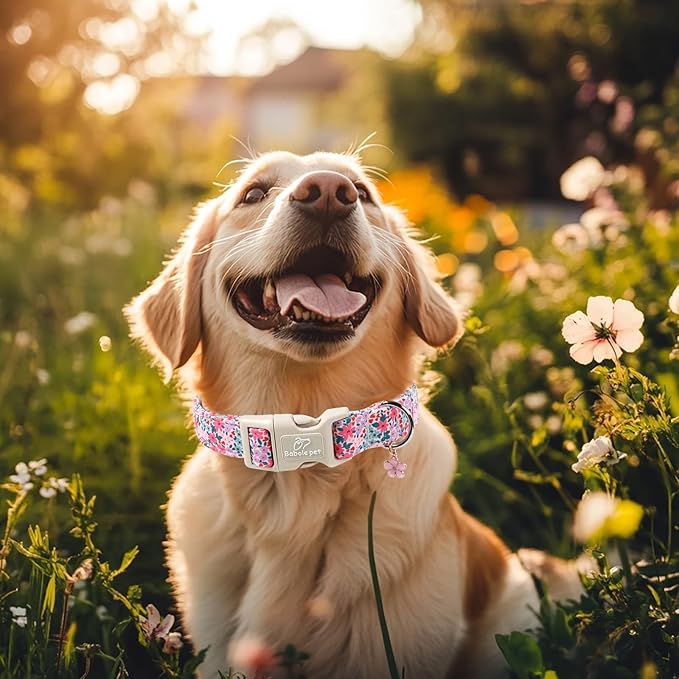 Floral Dog Collar, Cute Girl Dog Collars - Pastel Wildflowers Pattern Spring Summer Puppy Collar, Adjustable Female Dog Collars for Small Medium Large Dogs XL