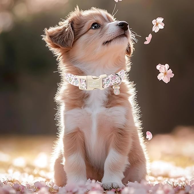 Easter Dog Collar for Medium Dogs - Easter Egg Pastel Dog Collars, Cute Girl Dogs Collar, Lightweight Adjustable Pink Spring Holiaday Dog Collars with Quick Release Buckle M