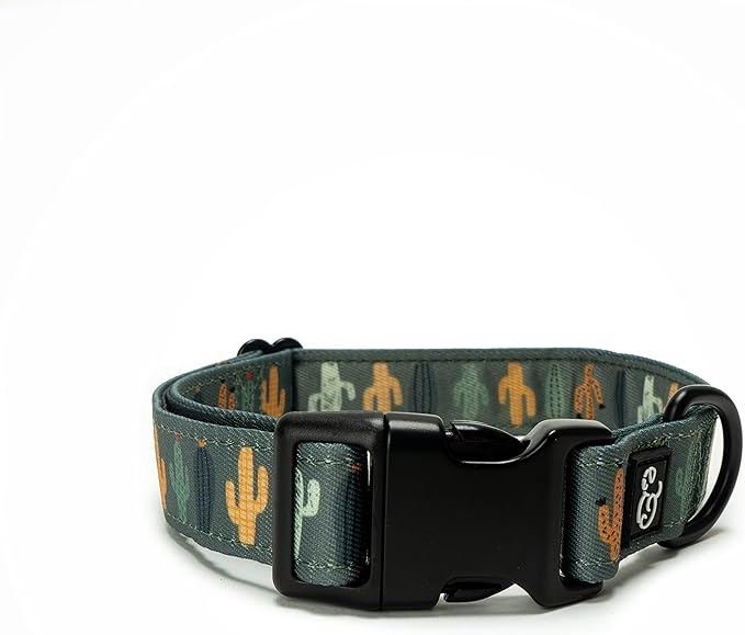 Lucy & Co. Looking Sharp Dog Collar - Durable Lightweight Designer Collar for Pets - Adjustable Metal Safety Buckle - Green Gold Cactus - Large