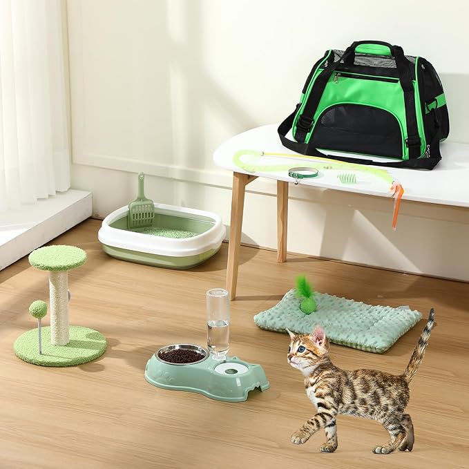 Eccliy Kitten Starter Kit, 10 Pcs Cat Starter Kit for Indoor Cats Kitten Essentials Includes Litter Box, Pet Toy, Folding Carrier, Climbing Frame, Mat, Collar, Automatic Food Bow(Classic,Green)