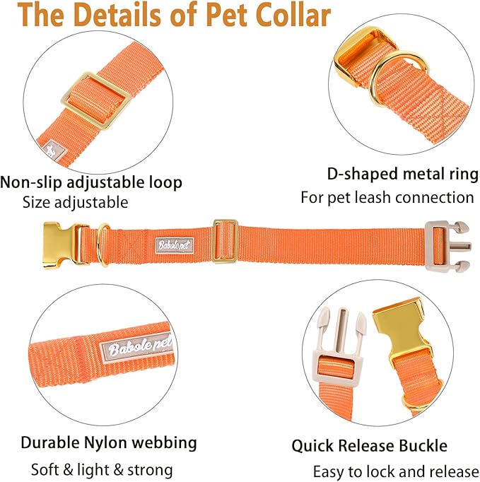 Nylon Dog Collar - Adjustable Orange Soft Webbing Dog Collars for Small Medium Large Dogs Boy Girl Puppy Collar with Safety Metal Buckle S