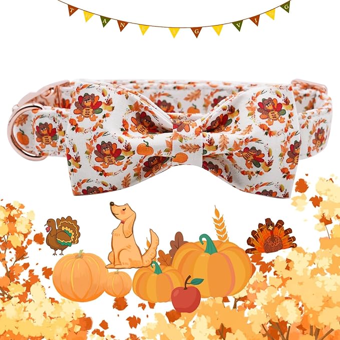 Dog Collar - Thanksgiving Turkey Bowtie Gift Soft Bow Collar with Adjustable Metal Buckle for X-Large Dogs