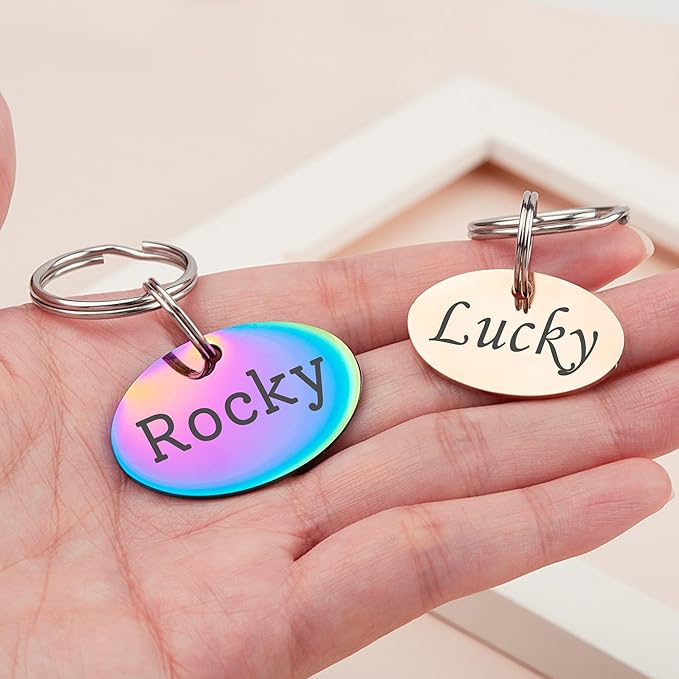 Anavia Personalized Pet ID Tags, Stainless Steel Glossy Laser Engraved Dog Cat Collar Name Tags, Multiple Colors Shapes Sizes (Oval, Small)