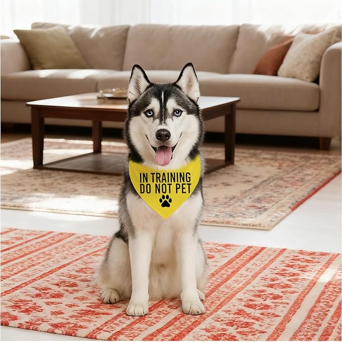in Training Do Not Pet Dog Yellow Bandana, Training Dogs Scarf, Do Not Pet My Dog, Adjustable Comfortable Triangle Pets Kerchief for Small Medium Boy Girl Dogs