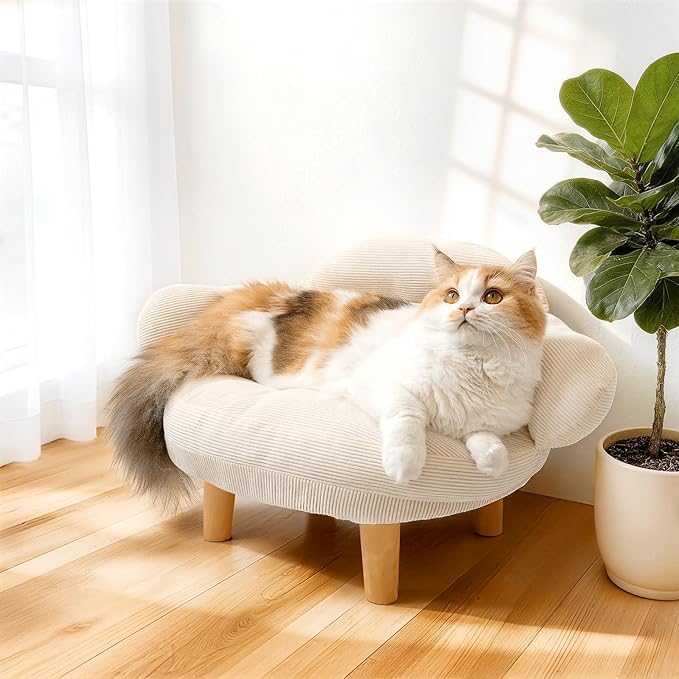 Cat Sofa Furniture-Style Pet Bed with Removable Cotton Velvet Cover, Solid Pine Wood Legs, for Cats and Small Dogs, White