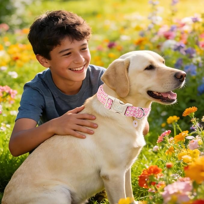 Daisy Dog Collar, Summer Cotton Dog Collar with Quick Release, Gift Pink Collars for Small Medium Large Girls or Boys Dogs Cute Durable Comfortable Pet Collars