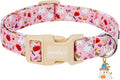 Halloween Dog Collar, Fall Dog Collars for Small Dogs, Cute Pink Puppy Collar with Adorable Ghost & Pumpkin Design, Soft Cotton Small Dog Collars Girl Boy Dog Collar-S