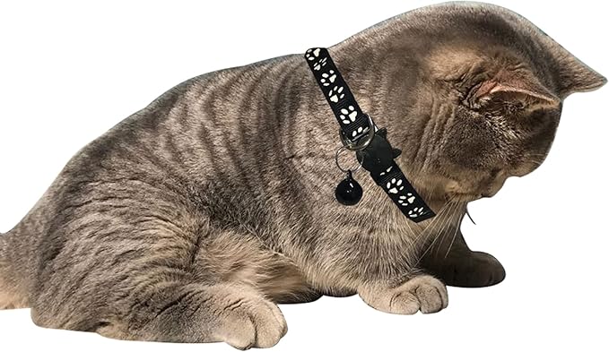 Breakaway Reflective Nylon Cat Collars with Bell (2 Black + 2 Orange)