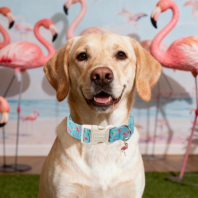 DOGWONG Spring Summer Dog Collar-Cute Flamingo Dog Collar, Adjustable Soft Beach Hawaiian Dogs Collars for Medium Dogs, M