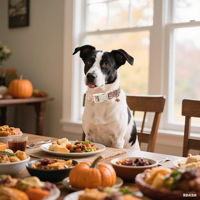 DOGWONG Fall Plaid Dog Collar,Turkey Thanksgiving Dog Collars, Adjustable Cute Pumpkin Pet Collars Design Dog Collar for Small Medium Large Dogs