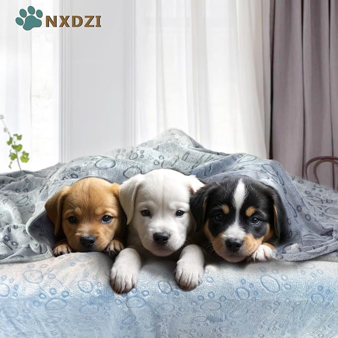 Dog Blankets for Small Medium Dogs Washable, 3 Pack Pet Blanket Washable 30" x 20", Fuzzy Soft Puppy Throw Cover for Kennel Crate Bed