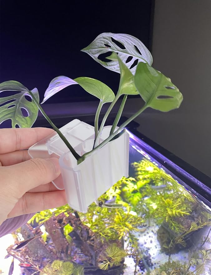 4 Pk Upgraded Aquarium Plant Holder, 3-Hole Hanging Aquarium Plant Holder with Clip, Suitable for Fish Tank Plant Potting, Aquarium Decoration, White