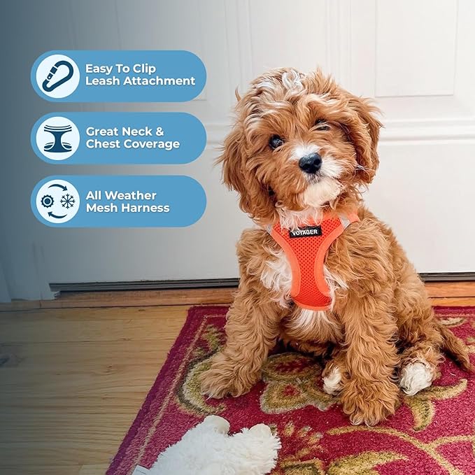 Best Pet Supplies Voyager Step-in Air All Weather Mesh Harness and Reflective Dog 5 ft Leash Combo with Neoprene Handle, for Small, Medium and Large Breed Puppies - Set (Orange), S