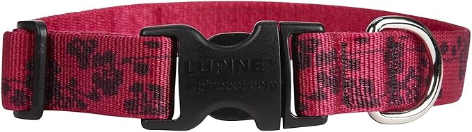 LupinePet Originals 1" Plum Blossom 16-28" Adjustable Collar for Large Dogs