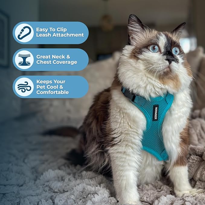 Voyager Escape-Proof Step-in Lock Cat Harness & 5ft Neoprene-Handle Leash Set All-Weather Mesh with Reflective Stitching for Small to Large Cats by Best Pet Supplies, Turquoise, S