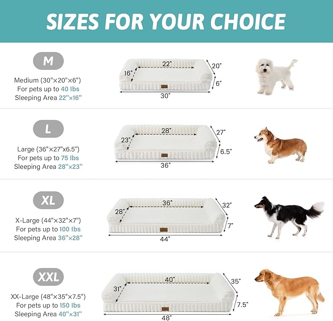 Cute Dog Bed for Medium Dogs, Faux Rabbit Fur Orthopedic Foam Dog Bed with Sides, Removable Washable Cover & Waterproof Lining, Comfortable Pet Couch, Cream (36" L x 27" W x 6.5" Th)