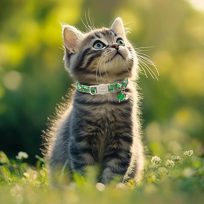 2 Pack St. Patrick’s Day Cat Collars - Breakaway Cat Collar with Bell, Green Clover Pendant, Adjustable Cute Kitten Collars for Boy Girl Cats, Beer&Flower Irish Shamrock