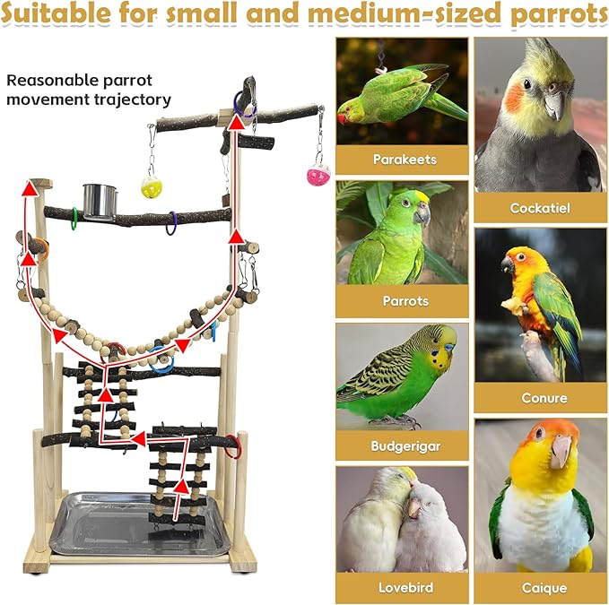 kathson Large Bird Playground - Natural Wood Perch Gym 4 Layers Parrot Playstand Activity Center with Perches Ladder Chew Toys Removable Tray and 2 Stainless Steel Cups for Small and Middle Birds