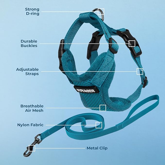 Voyager Escape-Proof Step-in Lock Cat Harness & 5ft Neoprene-Handle Leash Set All-Weather Mesh with Reflective Stitching for Small to Large Cats by Best Pet Supplies, Turquoise, S