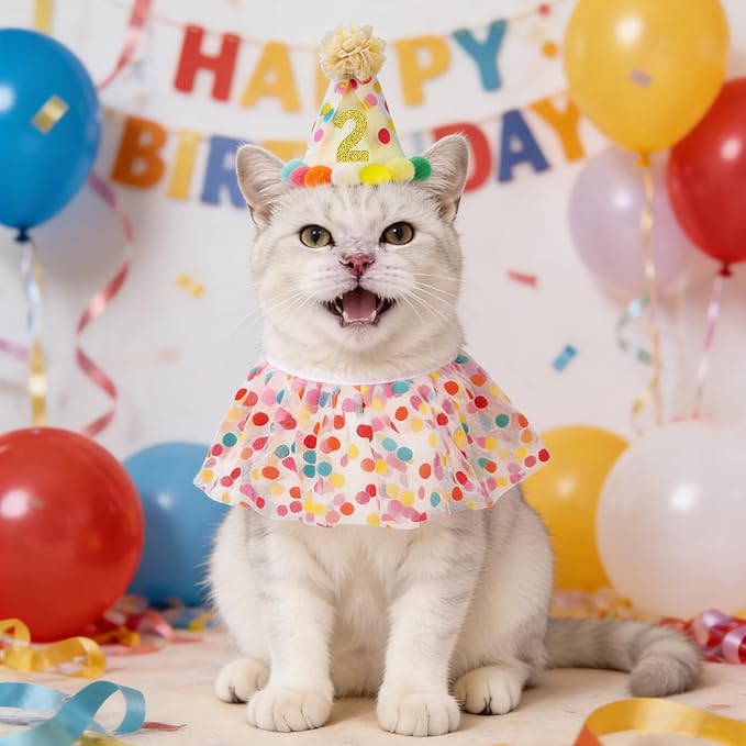 SCENEREAL Cat Birthday Hat & Scarf Costume Set, Pet Birthday Party Supplies - Kitten Bandana Bib Holiday Outfit Decorations Accessories for Big Cats Puppy Small Dogs Pet Animals
